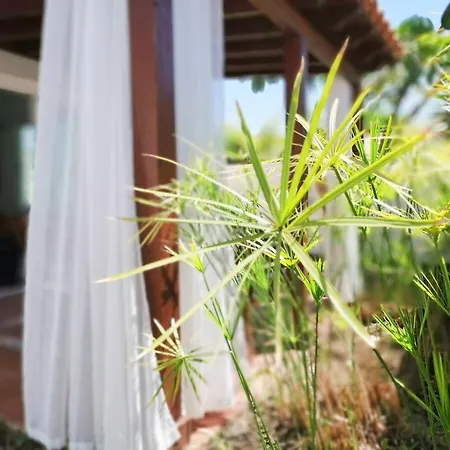 Ferienhaus Porches D40 By Pride Playa del Inglés